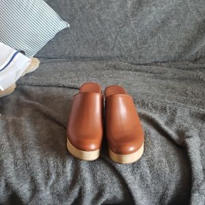 Everlane the Clogs